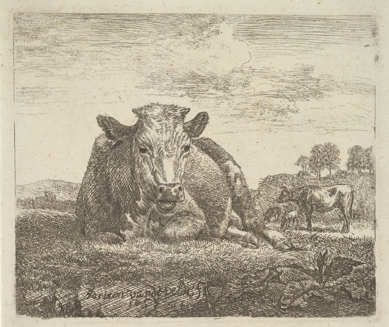 Vache couchée, de Différents Animaux - Adriaen van de Velde