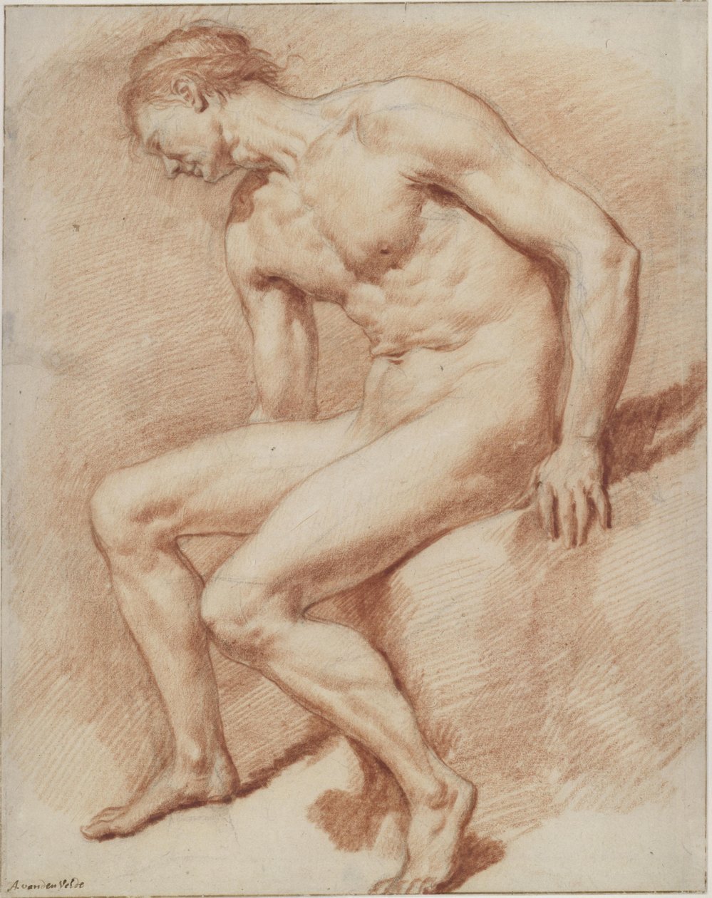 Nu masculin assis - Adriaen van de Velde