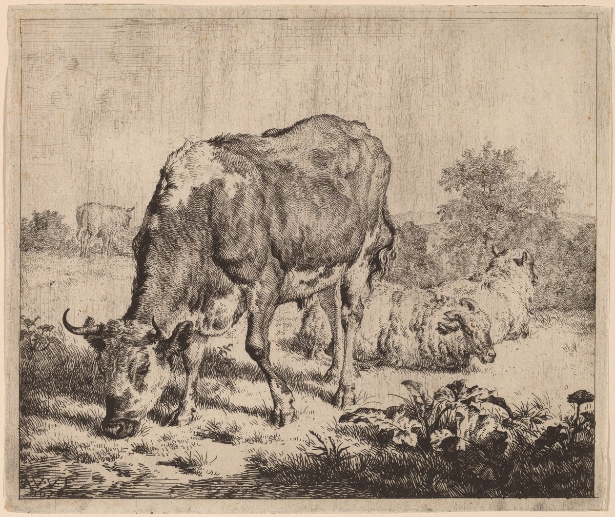Taureau tacheté et trois moutons - Adriaen van de Velde