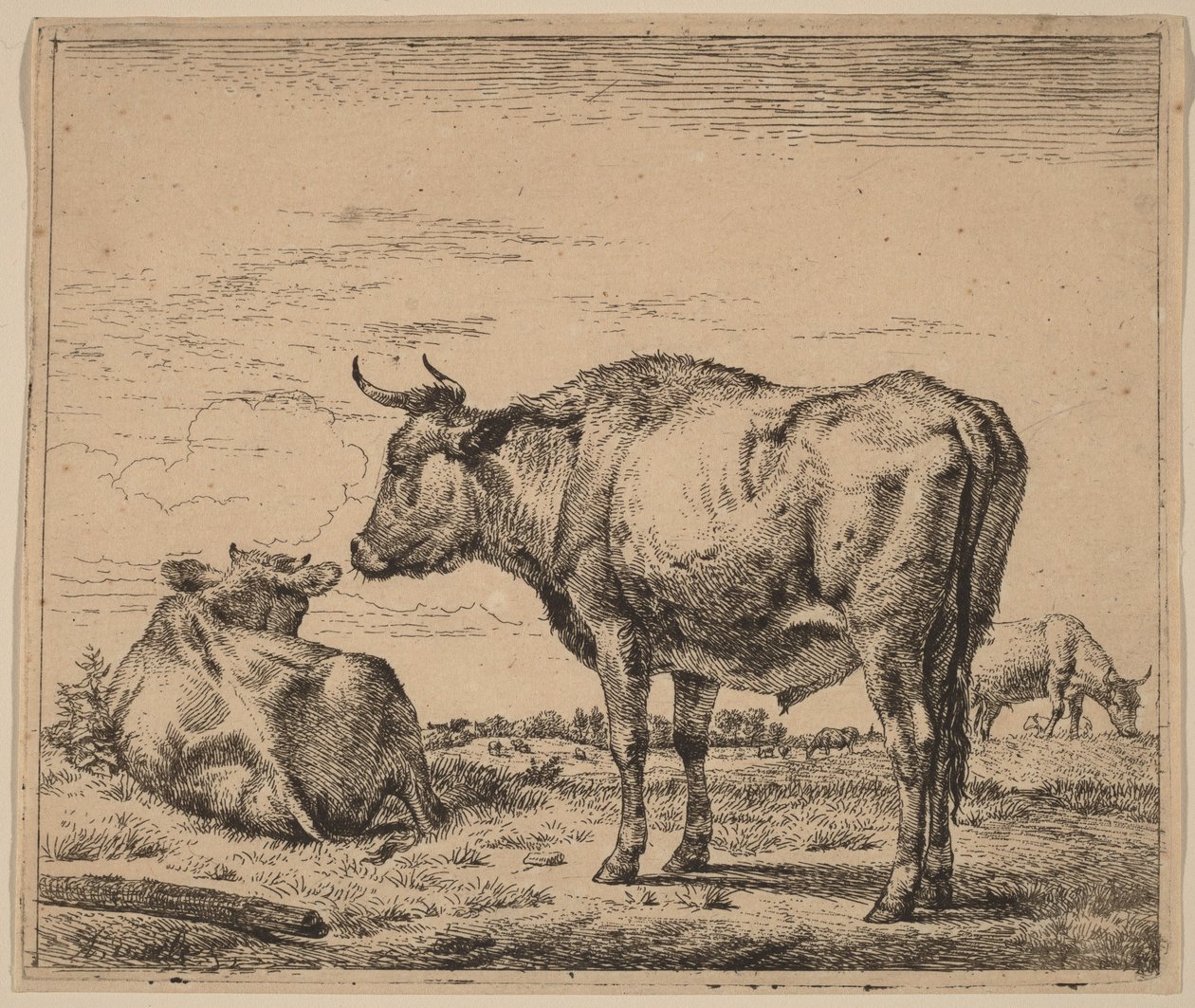 Taureau debout - Adriaen van de Velde