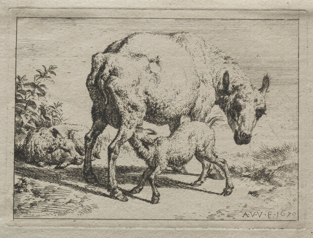 La brebis et deux agneaux, 1670 - Adriaen van de Velde