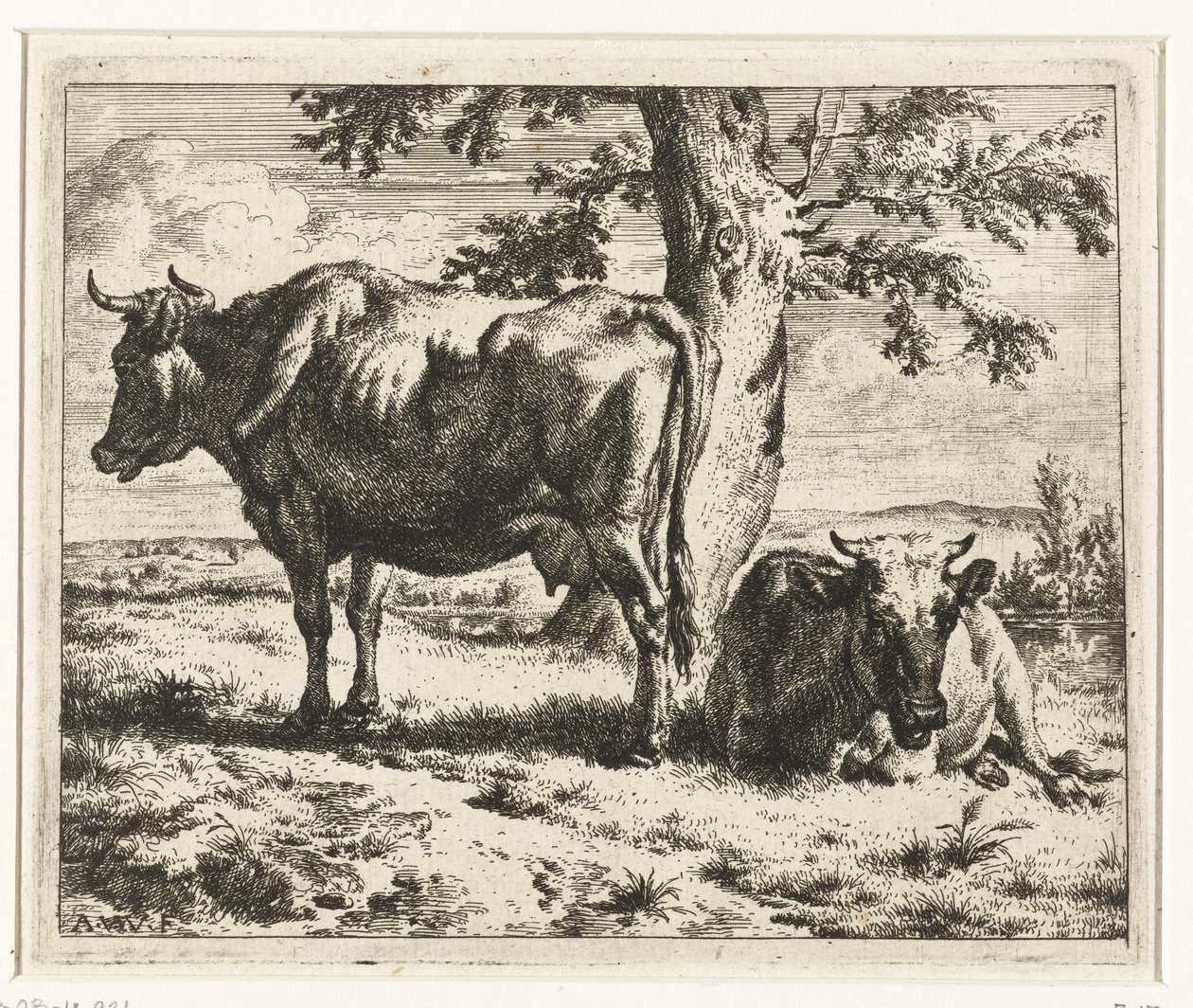 Deux vaches sous un arbre - Adriaen van de Velde