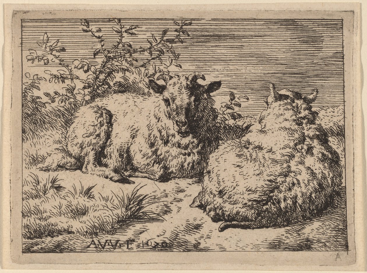 Deux moutons couchés - Adriaen van de Velde