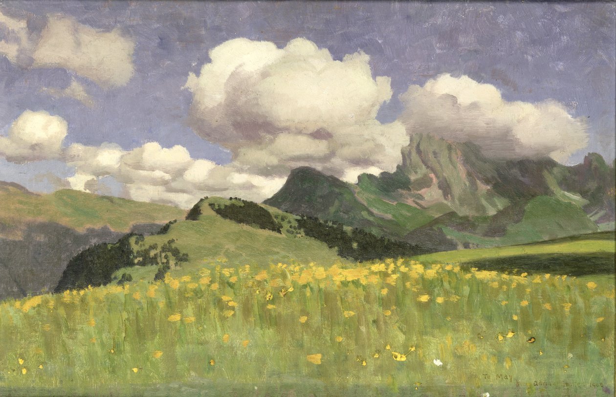 Un champ de soucis, Basses-Alpes | Adrian Scott Stokes