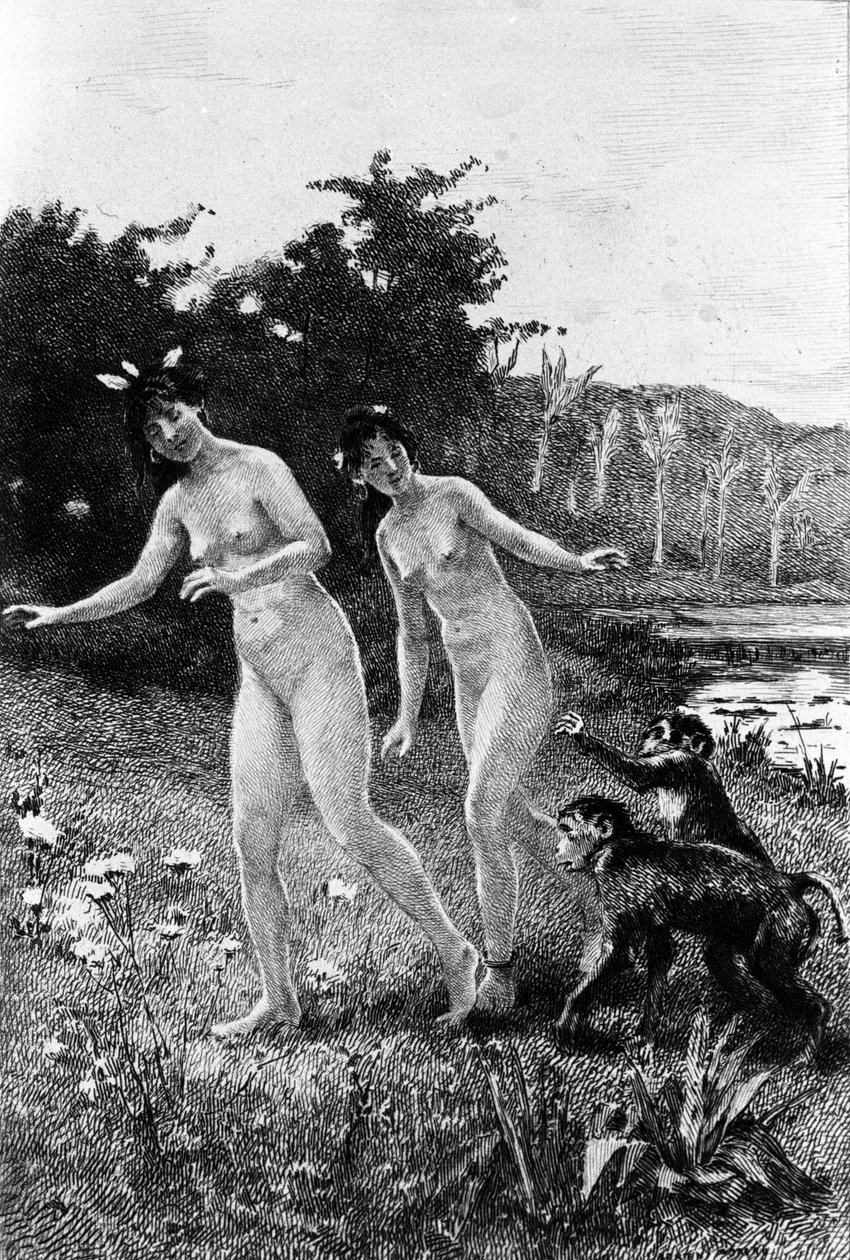 Gravure par Adrien Moreau (1843-1906) illustrant « Candide » de François Marie Arouet dit Voltaire (1694-1778) - Adrien Moreau