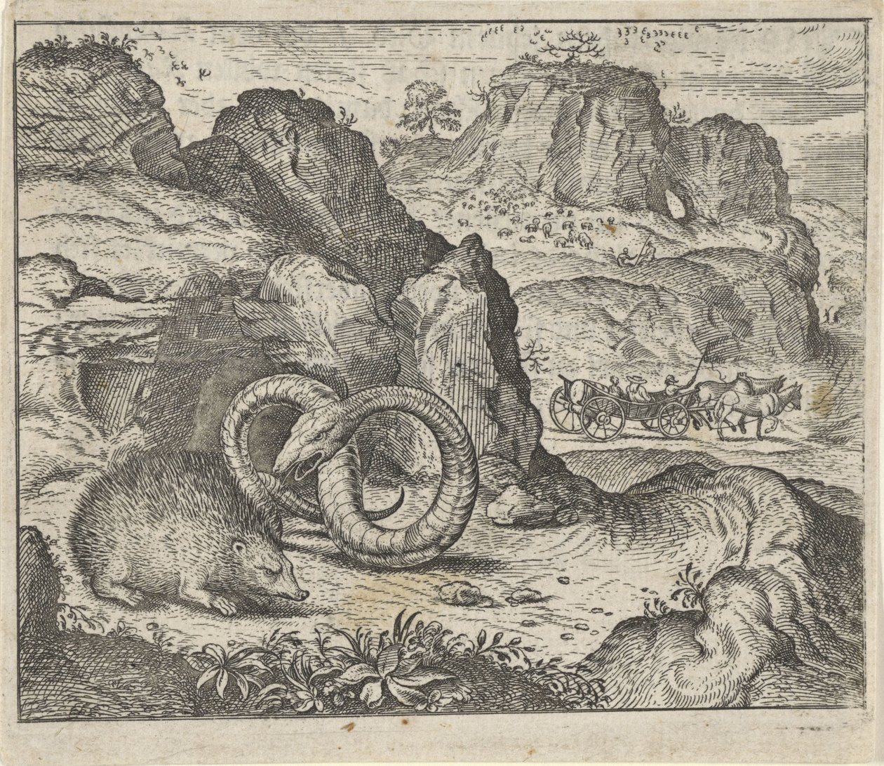 Fable du hérisson et du serpent - Egidius  Sadeler (II)