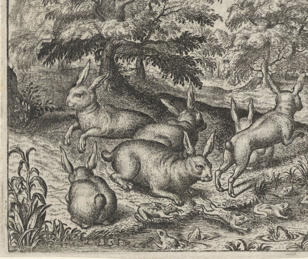 Fable des lièvres et des grenouilles - Egidius  Sadeler (II)