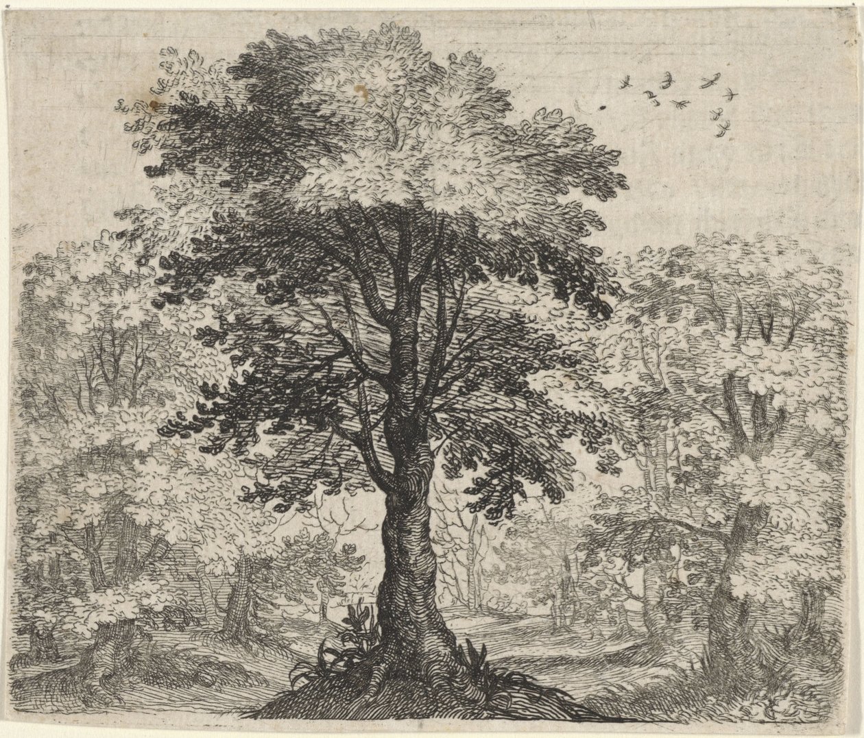 Fable de l