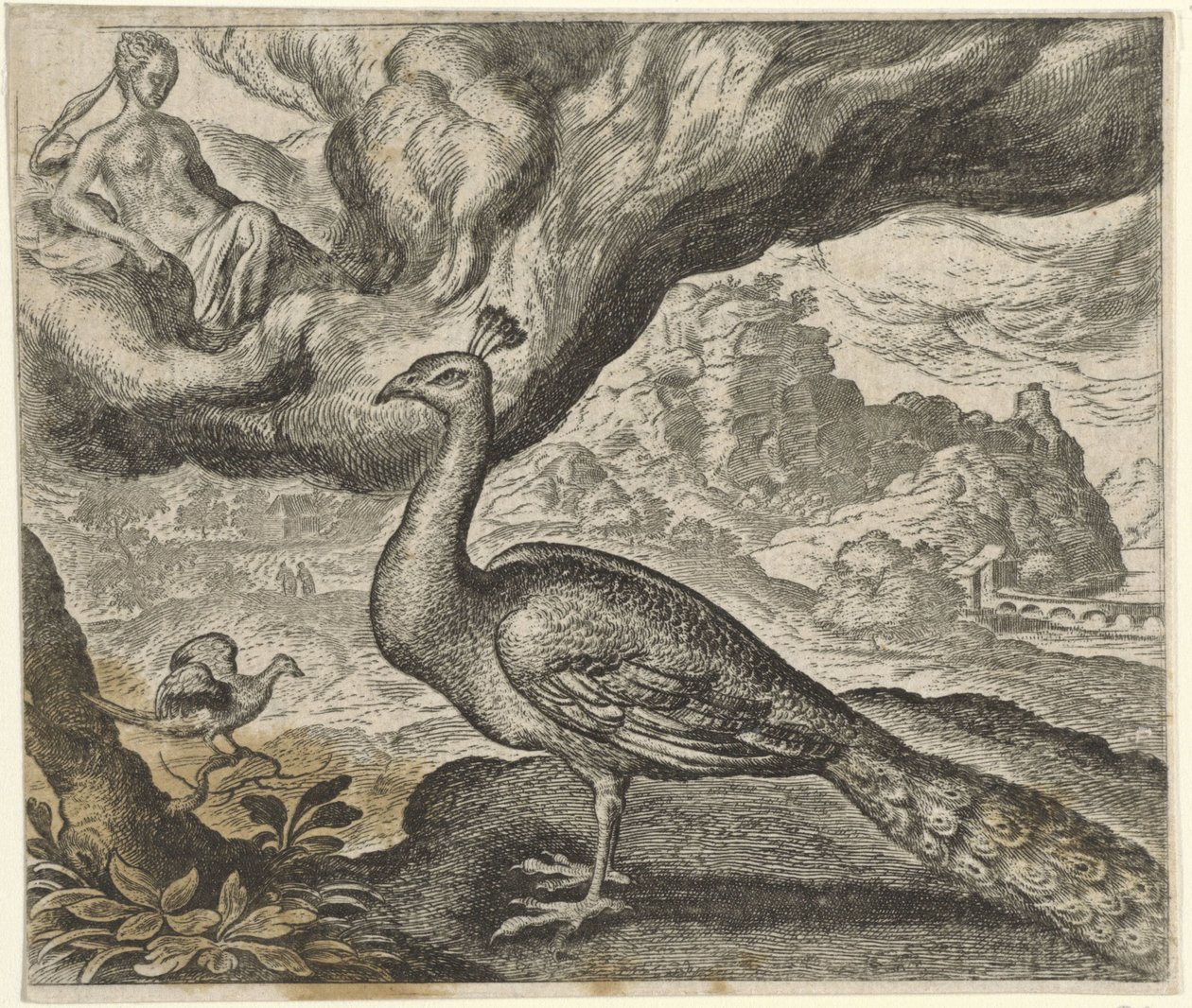 Fable du paon et du rossignol - Egidius  Sadeler (II)