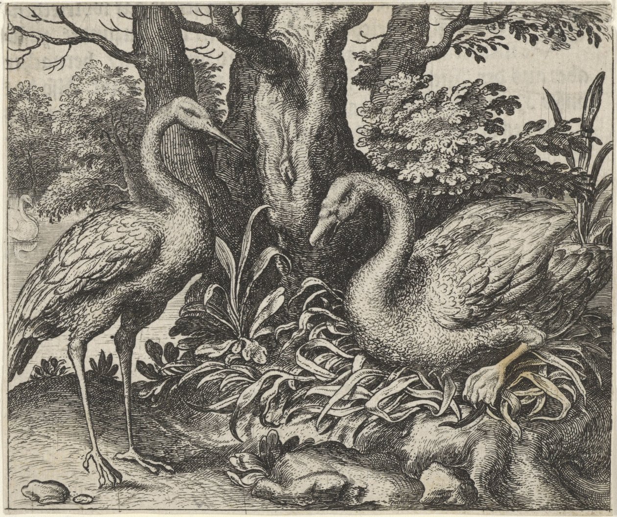 Fable du cygne et de la cigogne - Egidius  Sadeler (II)