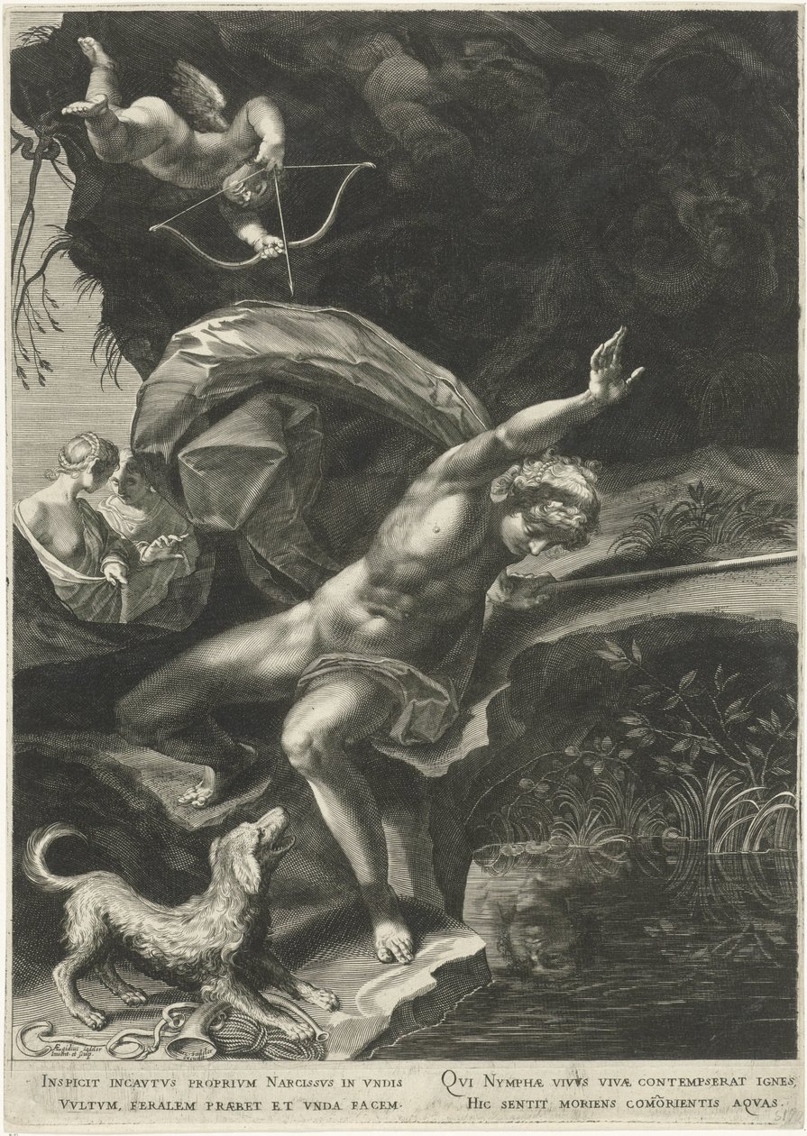 Narcisse à la source (Hercule et Cerbère) - Egidius  Sadeler (II)