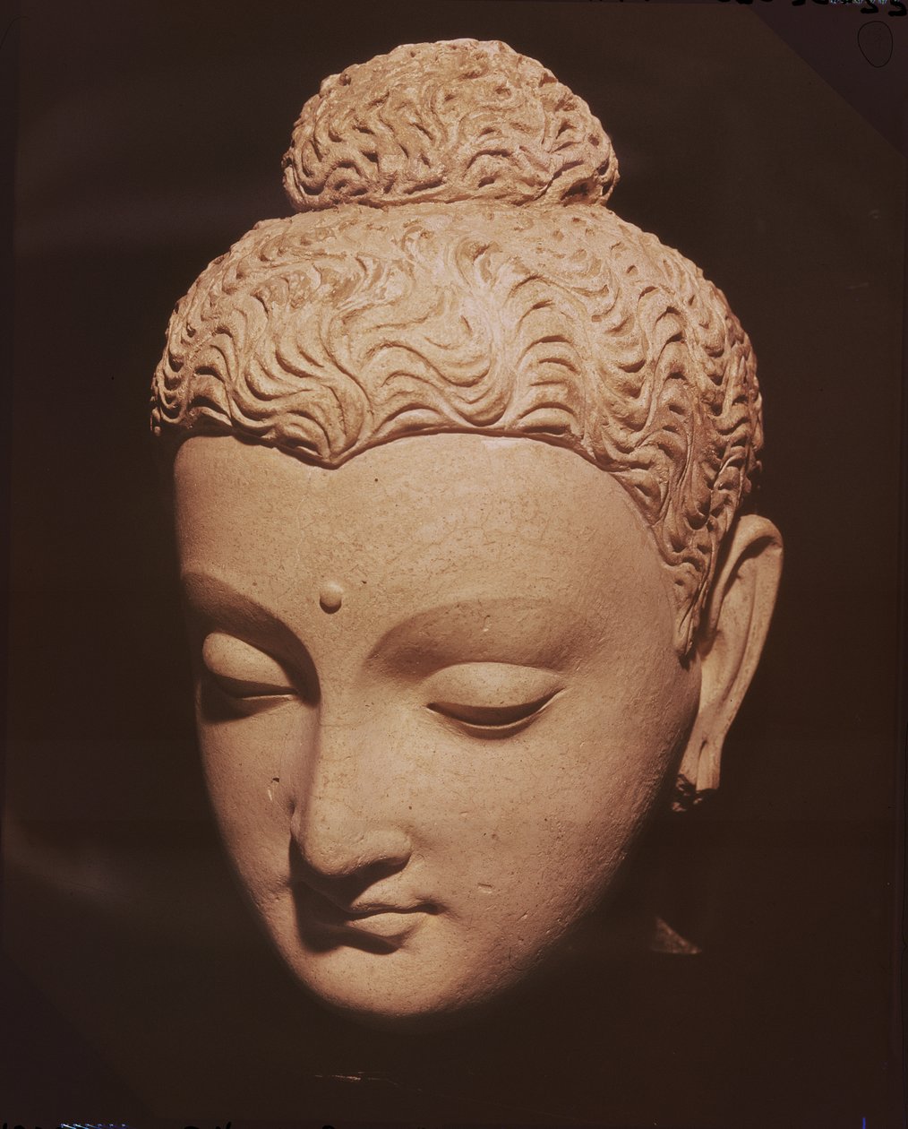 Tête de Bouddha, style gréco-bouddhiste, de Hadda - Afghan School