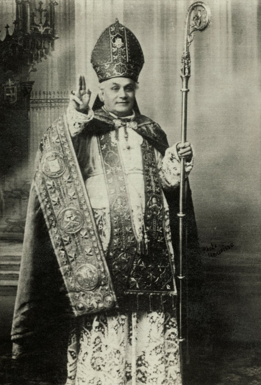 Portrait du cardinal Louis Lucon (photo) - Agence Meurisse