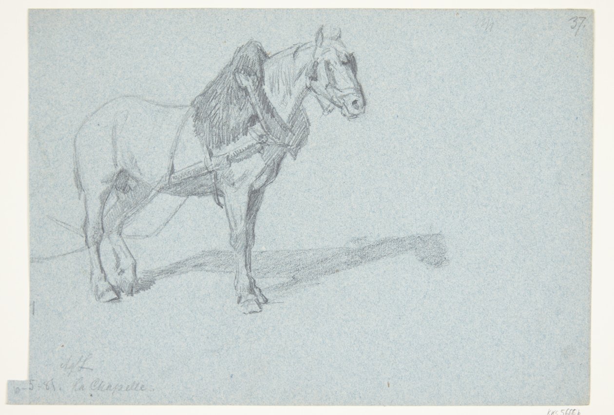 Un cheval - Agnes Lunn
