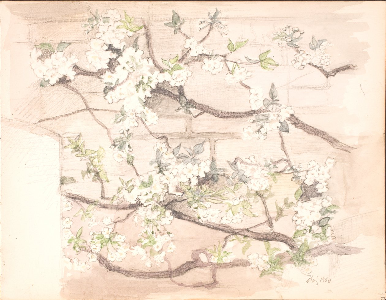 Fleurs de pommier - Agnes Slott Møller