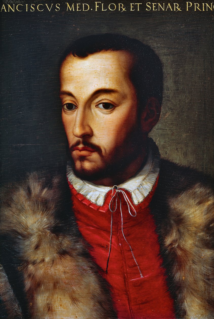 Portrait de François Ier de Médicis (Florence) - Agnolo di Cosimo Bronzino