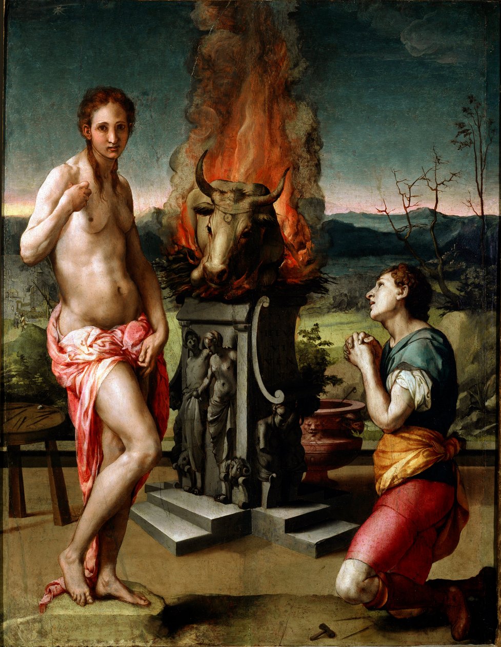 Pygmalion et Galatée - Agnolo Bronzino