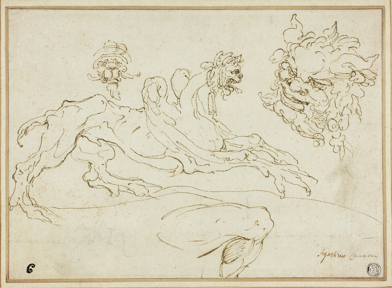 Quatre esquisses : Griffon, Tête grotesque, Tête de satyre, Jambe pliée - Agostino Carracci
