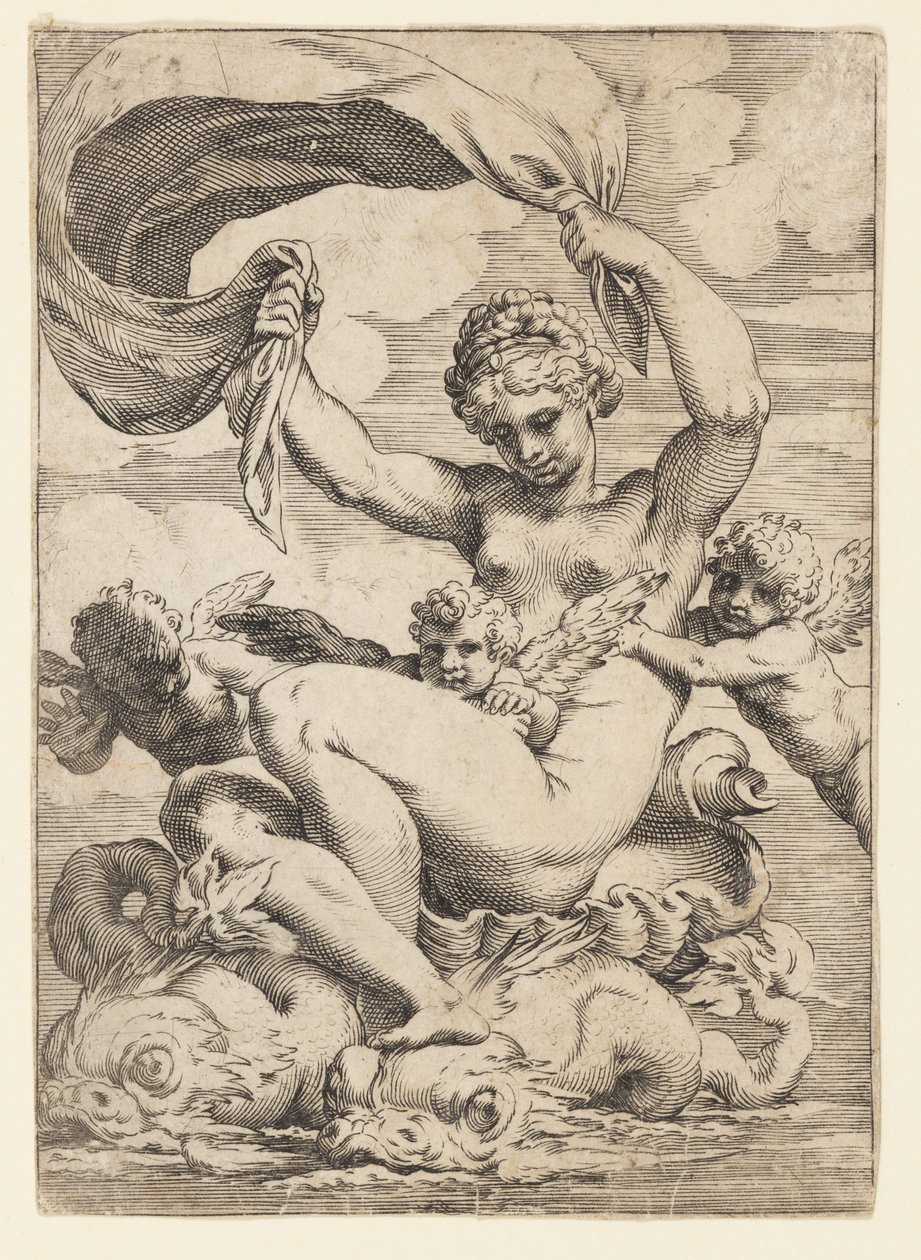 Vénus (ou Galatée) et Cupidons soutenus par des dauphins - Agostino Carracci