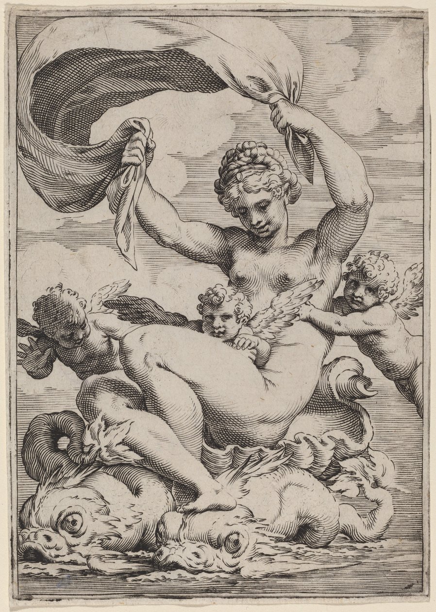 Vénus ou Galatée soutenue par des dauphins - Agostino Carracci
