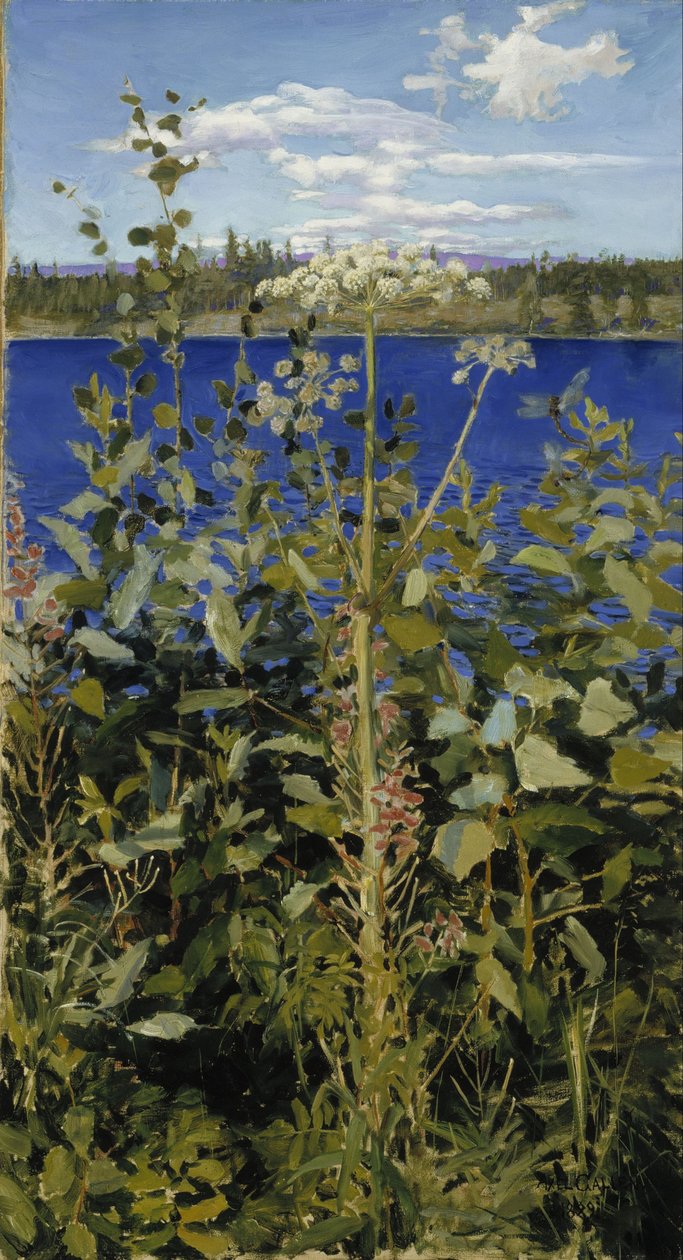Angélique sauvage - Akseli Gallen Kallela