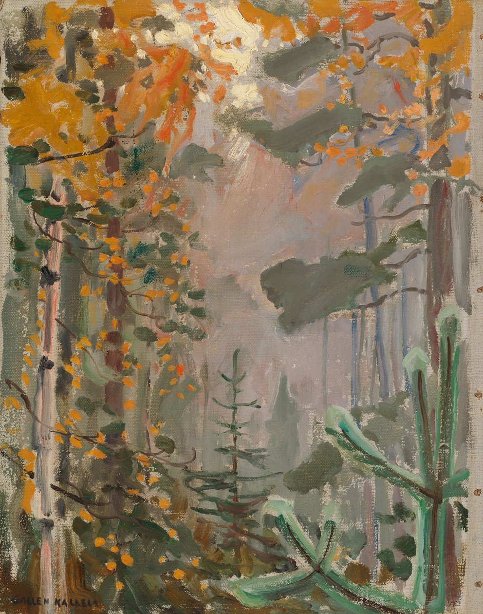 Paysage d
