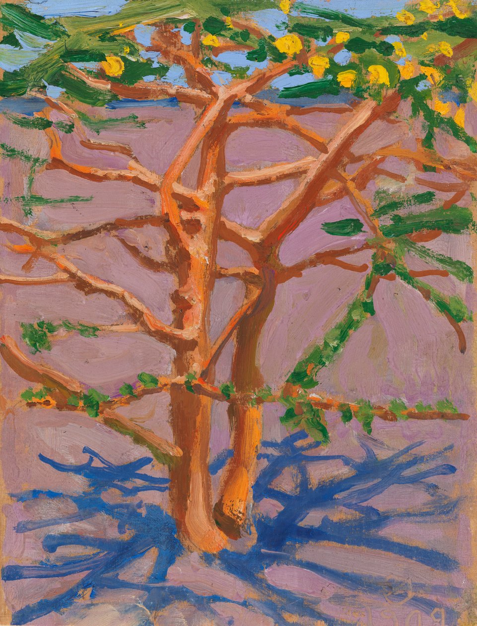 Acacia sur la savane - Akseli Valdemar Gallen-Kallela
