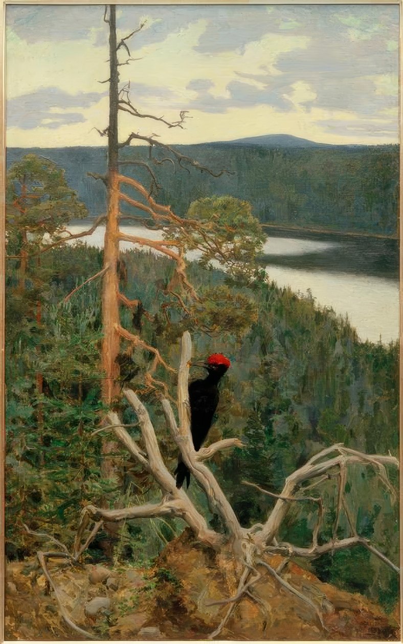 Le grand pic noir - Akseli Valdemar Gallen-Kallela