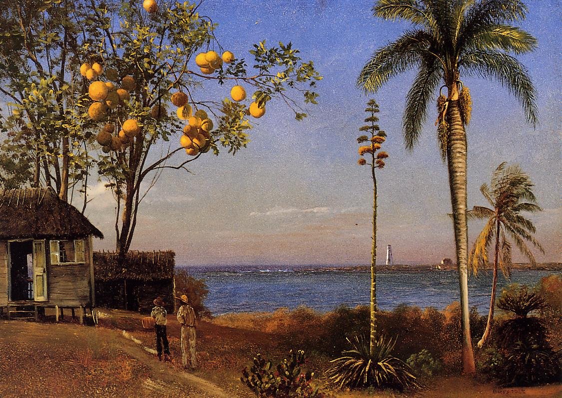 Vue des Bahamas - Albert Bierstadt