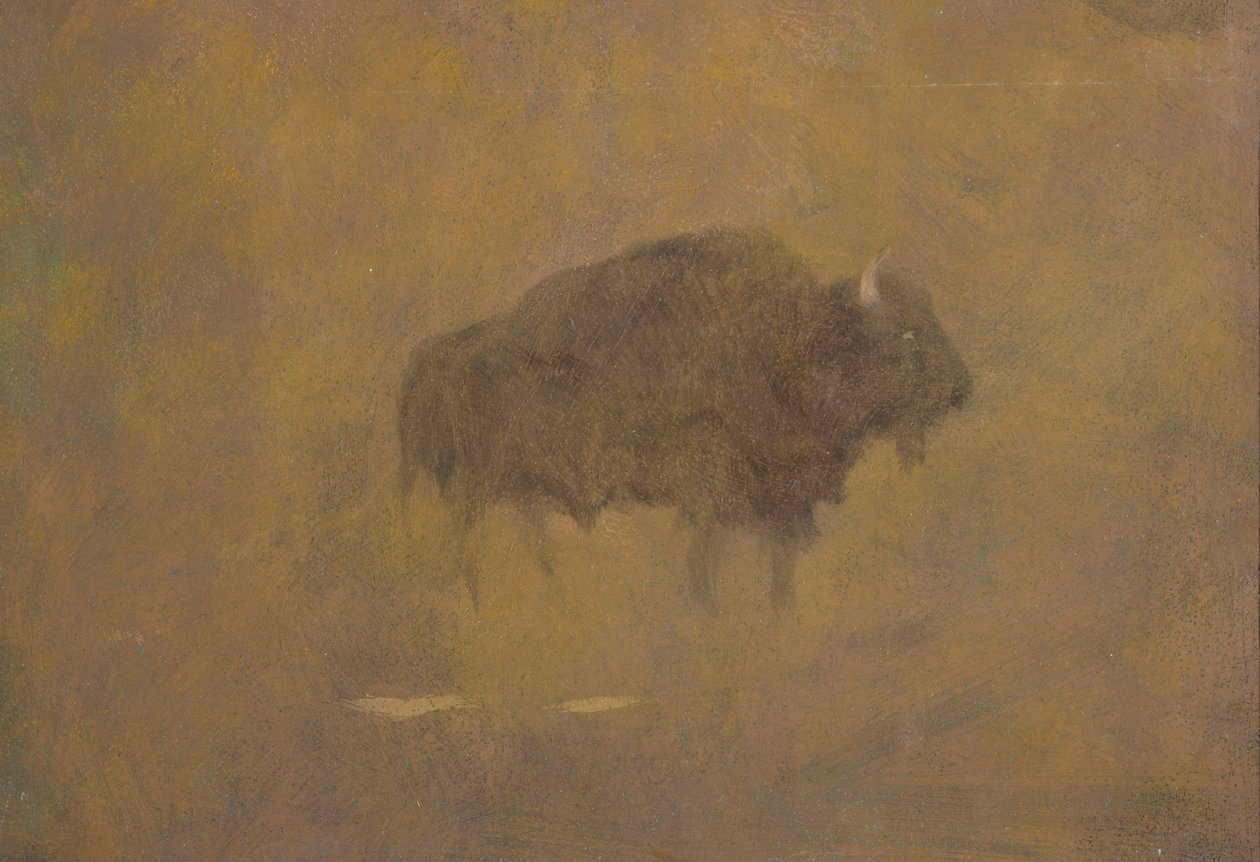 Buffle dans une tempête de sable - Albert Bierstadt