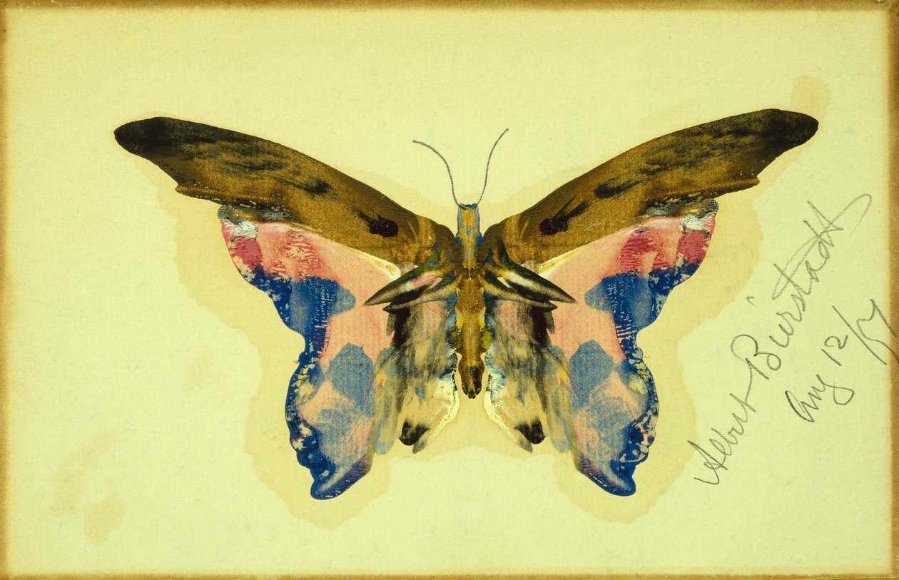Papillon (gouache sur papier) - Albert Bierstadt