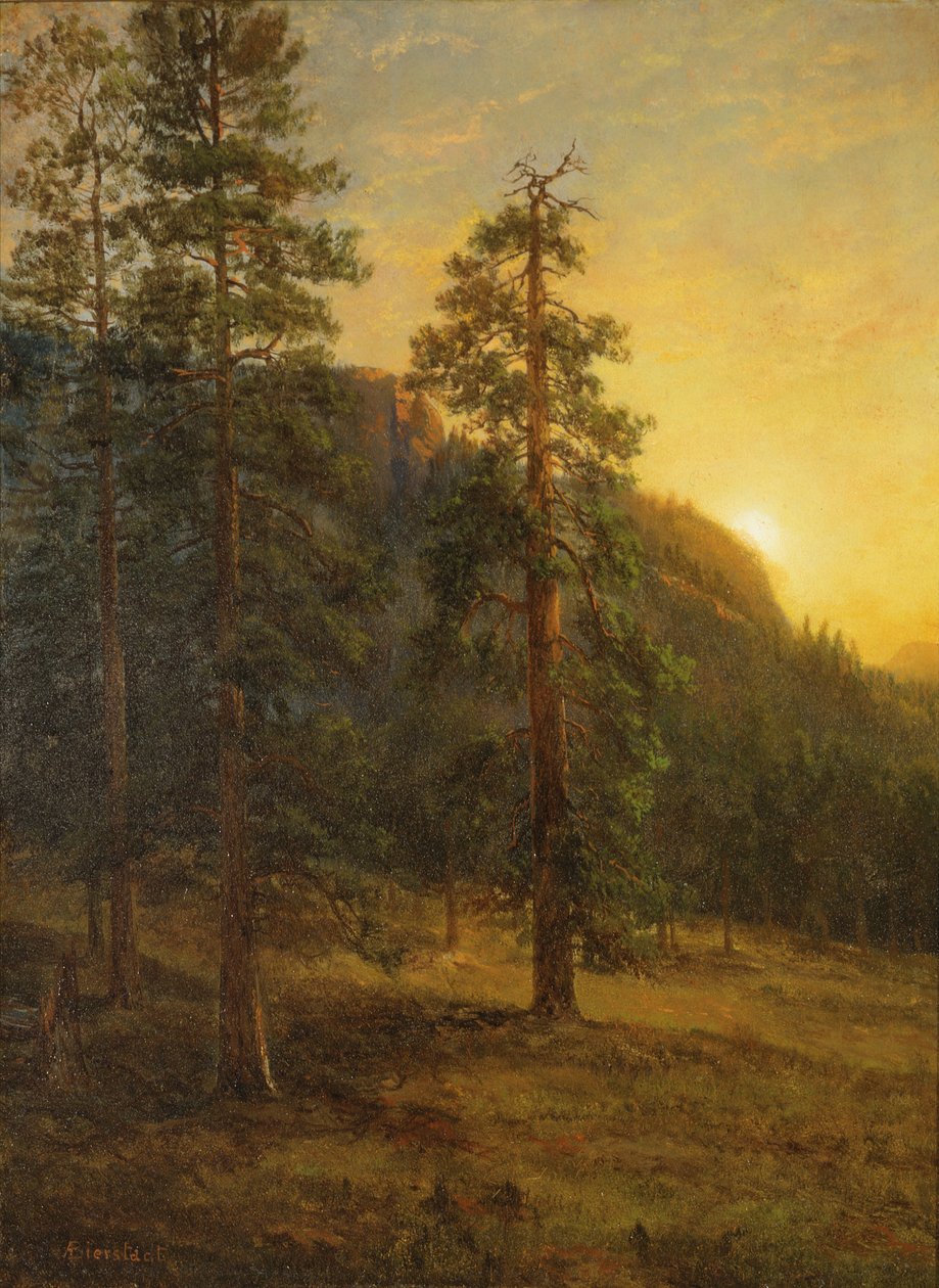 Les séquoias de Californie - Albert Bierstadt