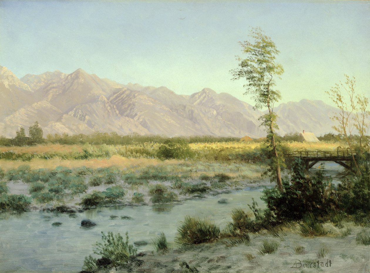 Paysage de prairie - Albert Bierstadt