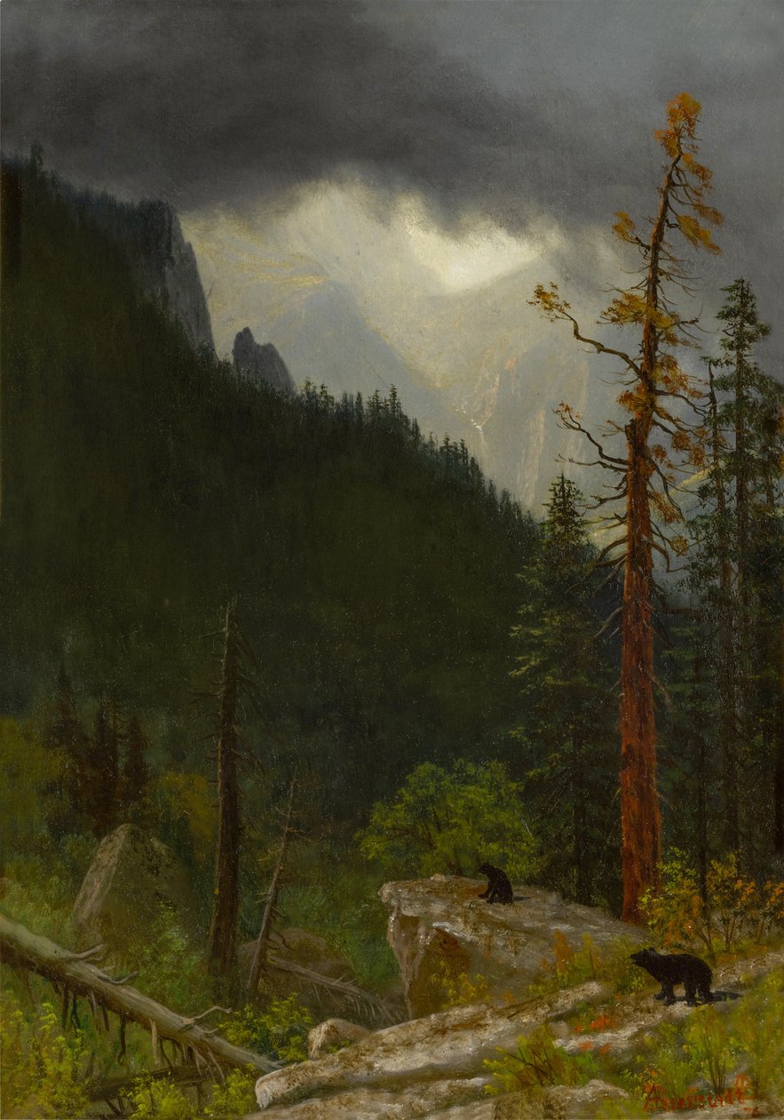Les Rocheuses après la tempête - Albert Bierstadt
