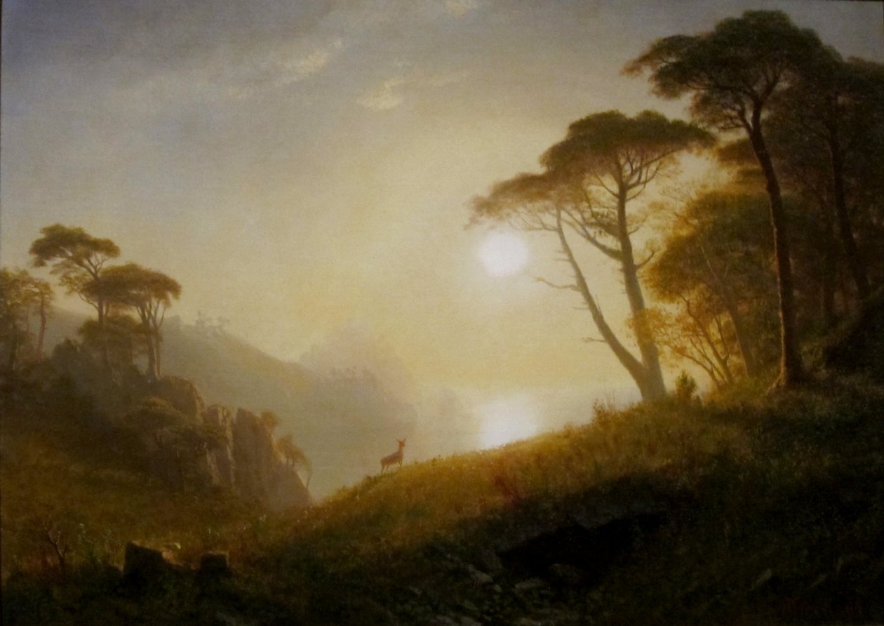 Scènes de la vallée de Yosemite - Albert Bierstadt