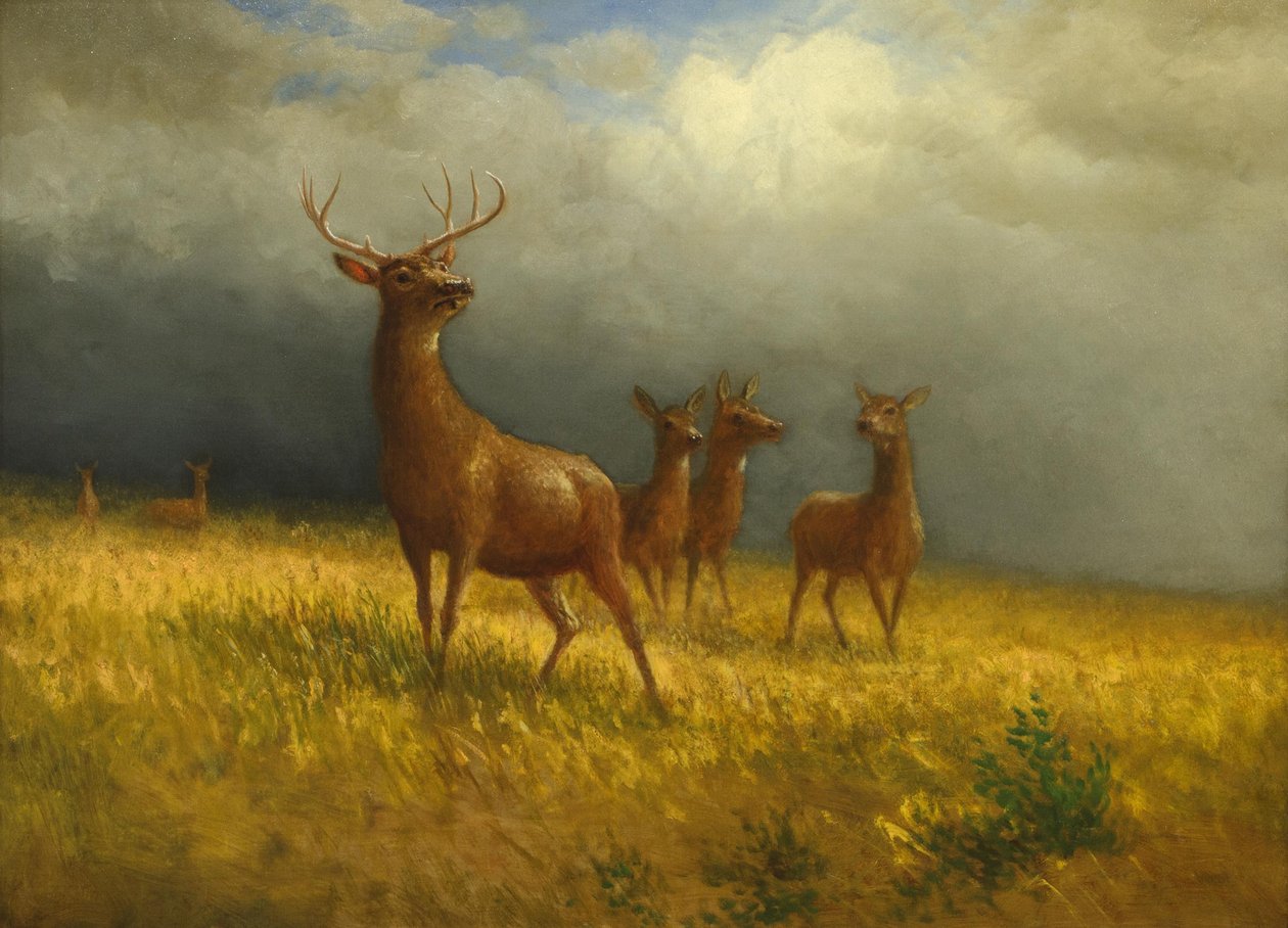 Trois chevreuils et un cerf" par Albert Bierstadt, vers 1885 - Albert Bierstadt
