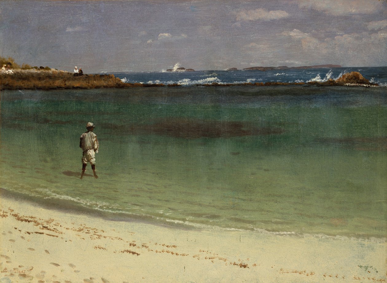 Scène côtière des Antilles - Albert Bierstadt
