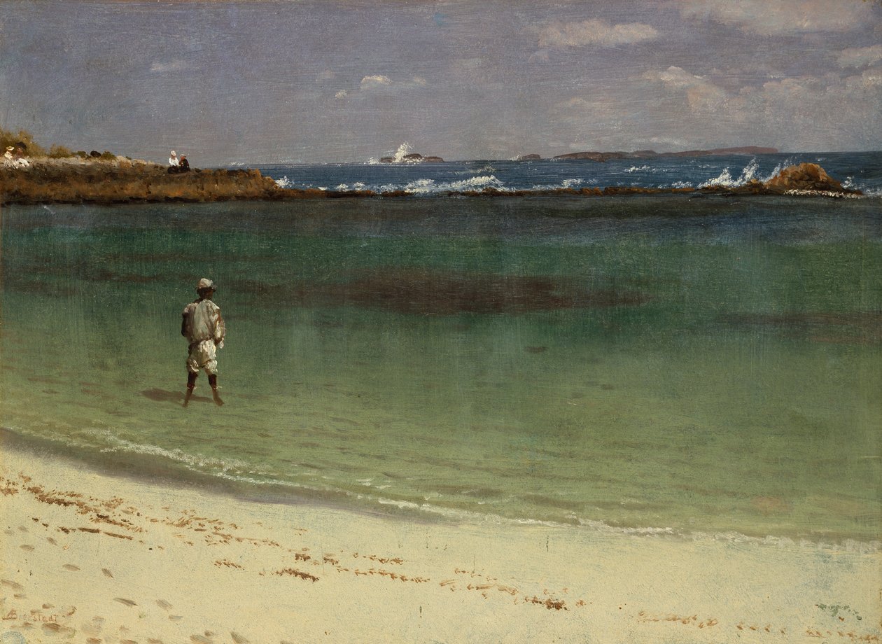 Scène de la côte des Antilles, vers 1880-93 (huile sur papier montée sur panneau de fibres) - Albert Bierstadt