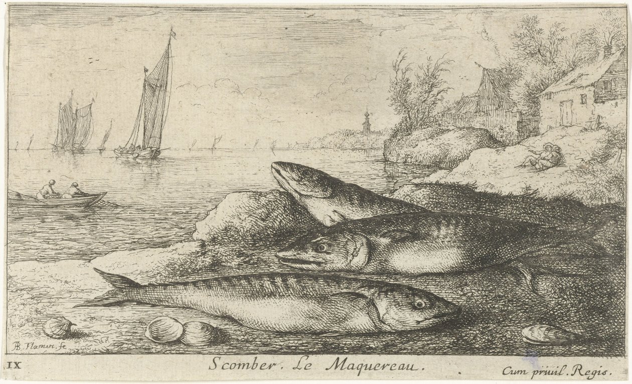 Trois maquereaux sur la plage (Scomber. Le Maquereau.) (Vissen en andere zeedieren - zoutwater eerste reeks, Diverses Especes de Poissons de mer) - Albert Flamen