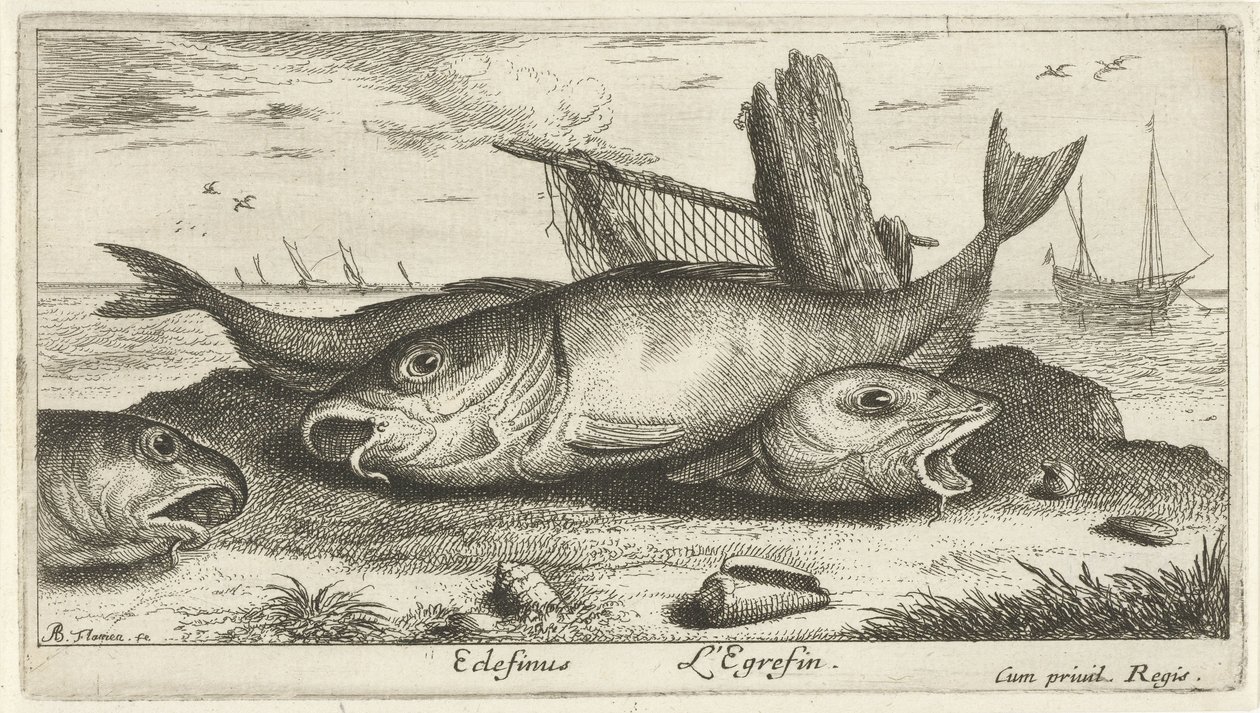 Trois églefins sur la plage (Poissons de mer) - Albert Flamen
