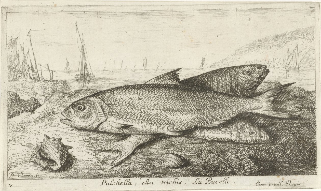 Trois poissons sur la plage - Albert Flamen