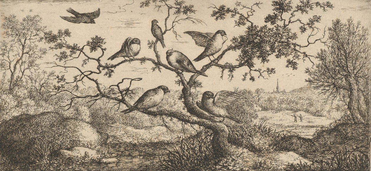 Le bouvreuil : Livre d