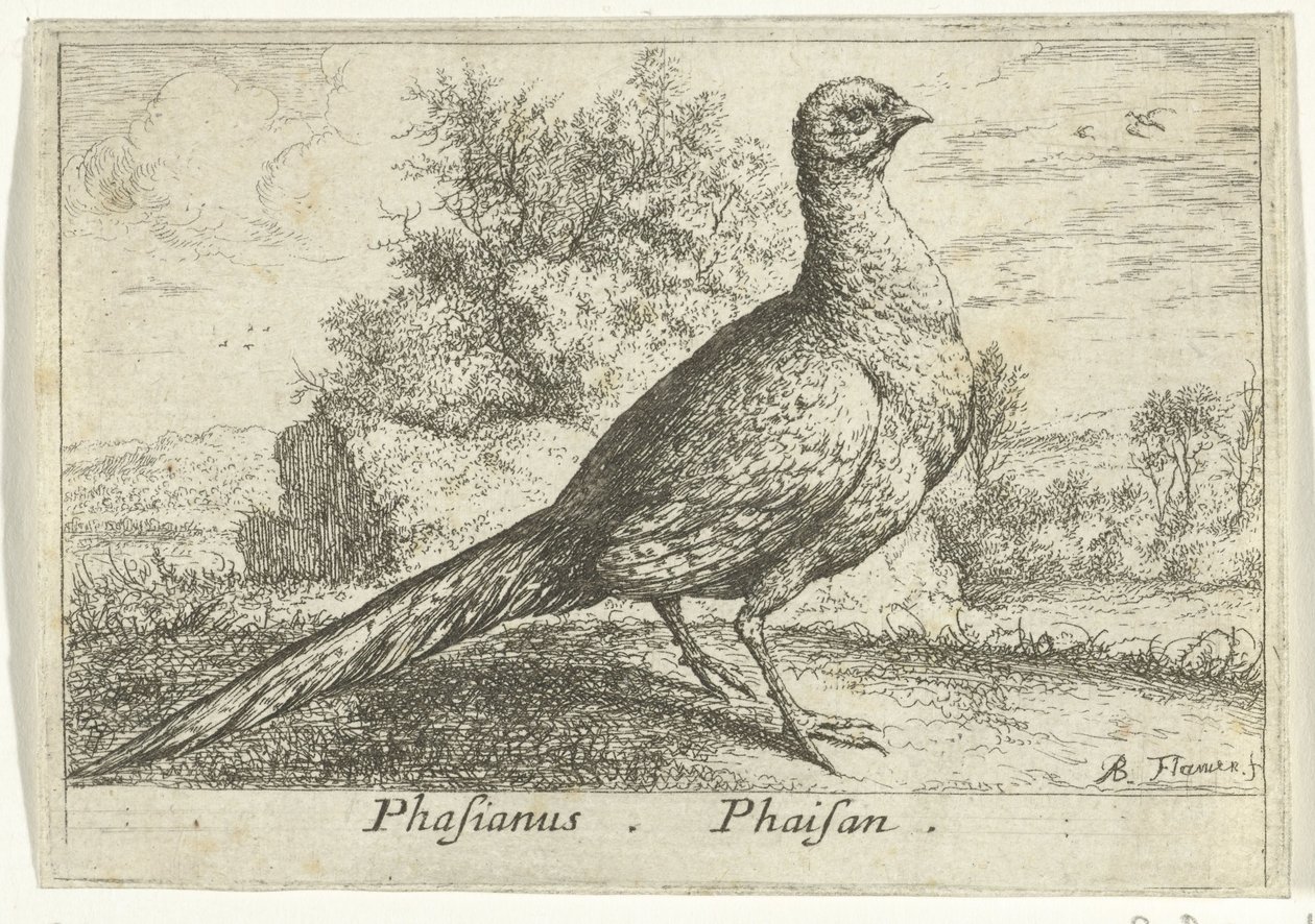 Paysage avec faisan - Albert Flamen