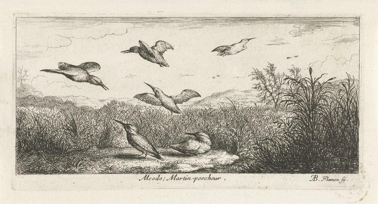 Paysage avec martins-pêcheurs (Alcedo; Martin-pescheur, Vogelboek, Livre d