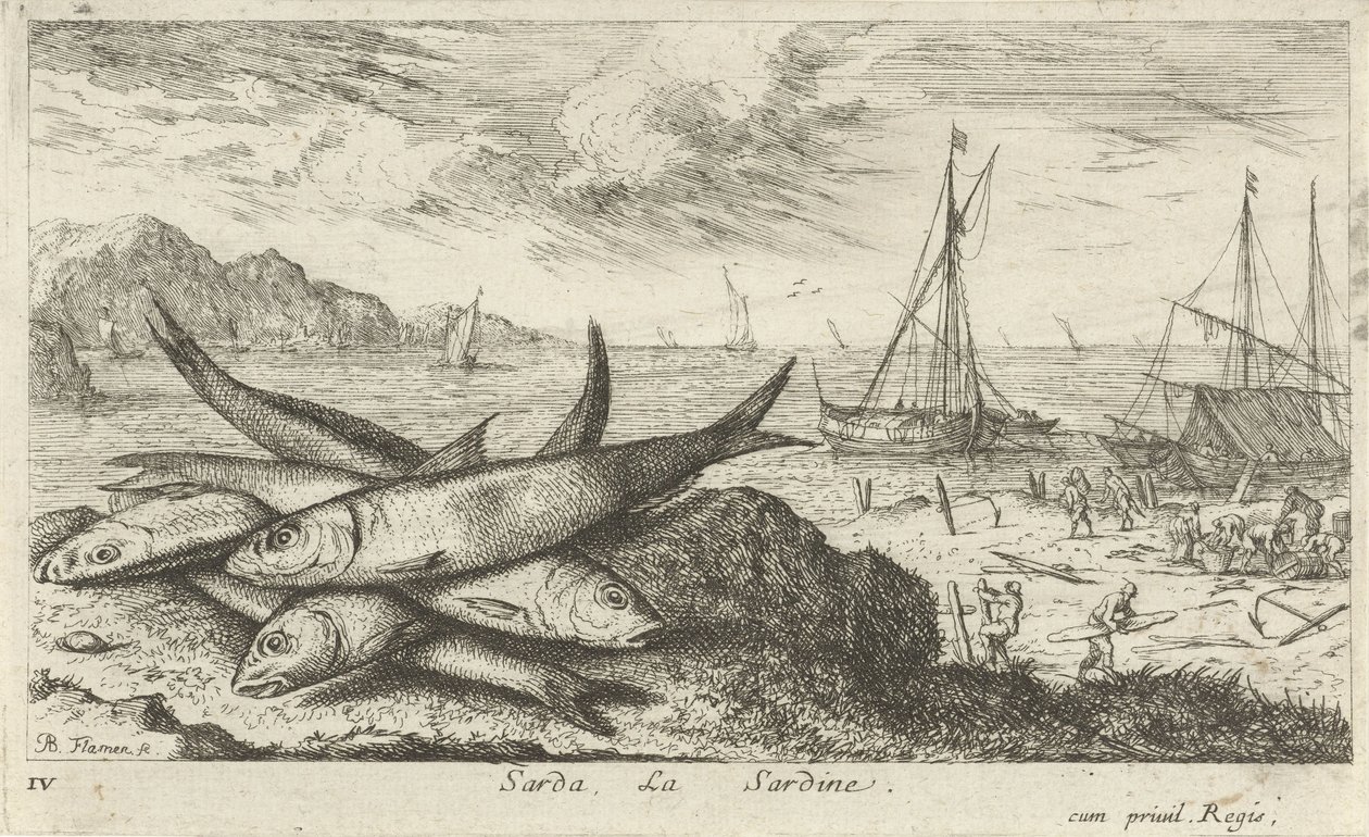 Sardines sur la plage - Albert Flamen