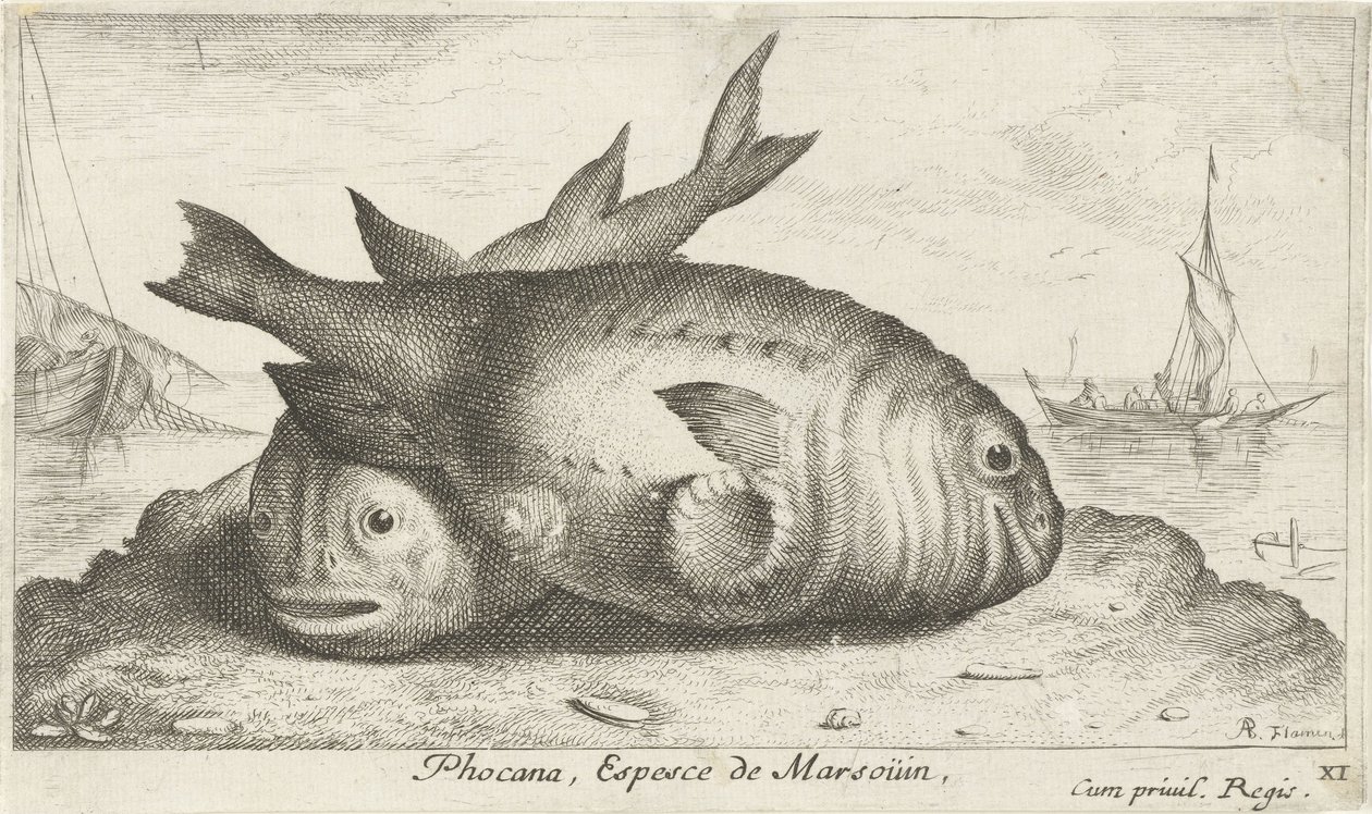 Deux marsouins sur la plage
Poissons de mer (série) - Albert Flamen