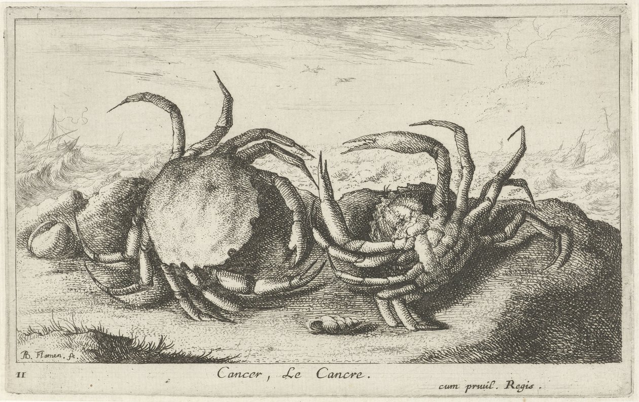 Deux crabes sur la plage (Poissons et autres animaux marins - première série) - Albert Flamen