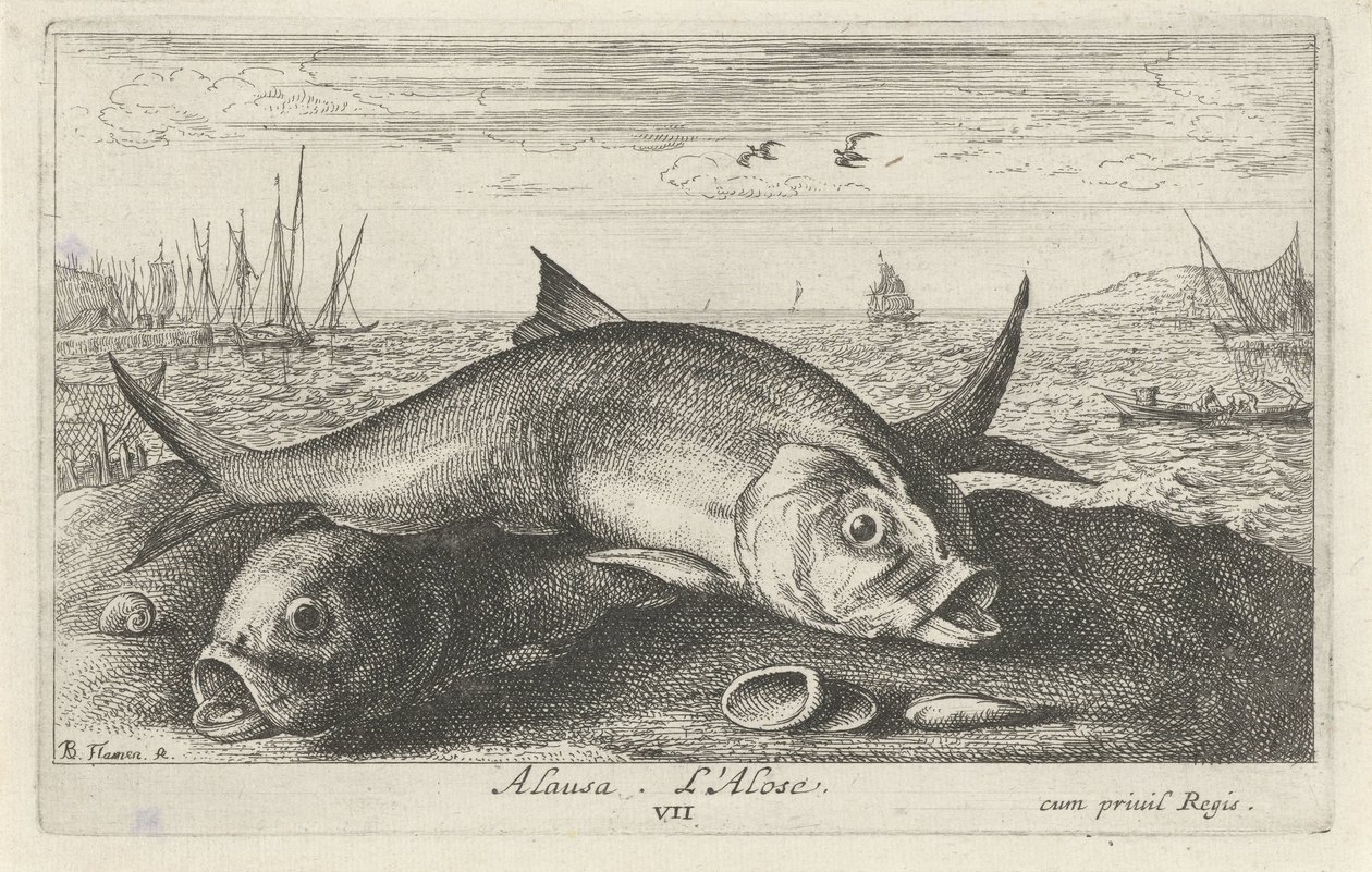 Deux aloses sur la plage - Albert Flamen