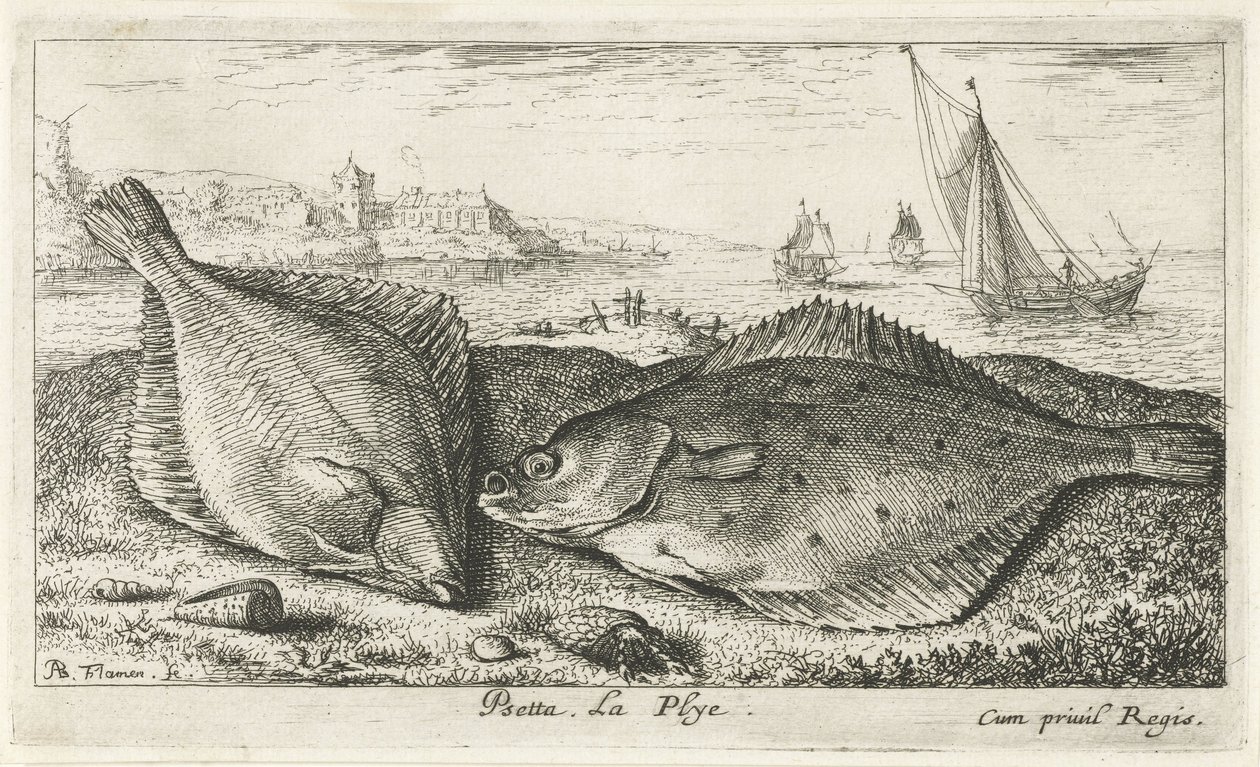 Deux poissons plats sur la plage (Poissons de mer) - Albert Flamen
