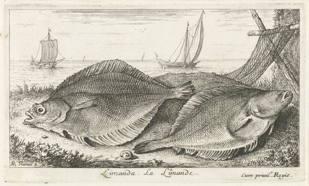 Deux poissons sur la plage - Albert Flamen